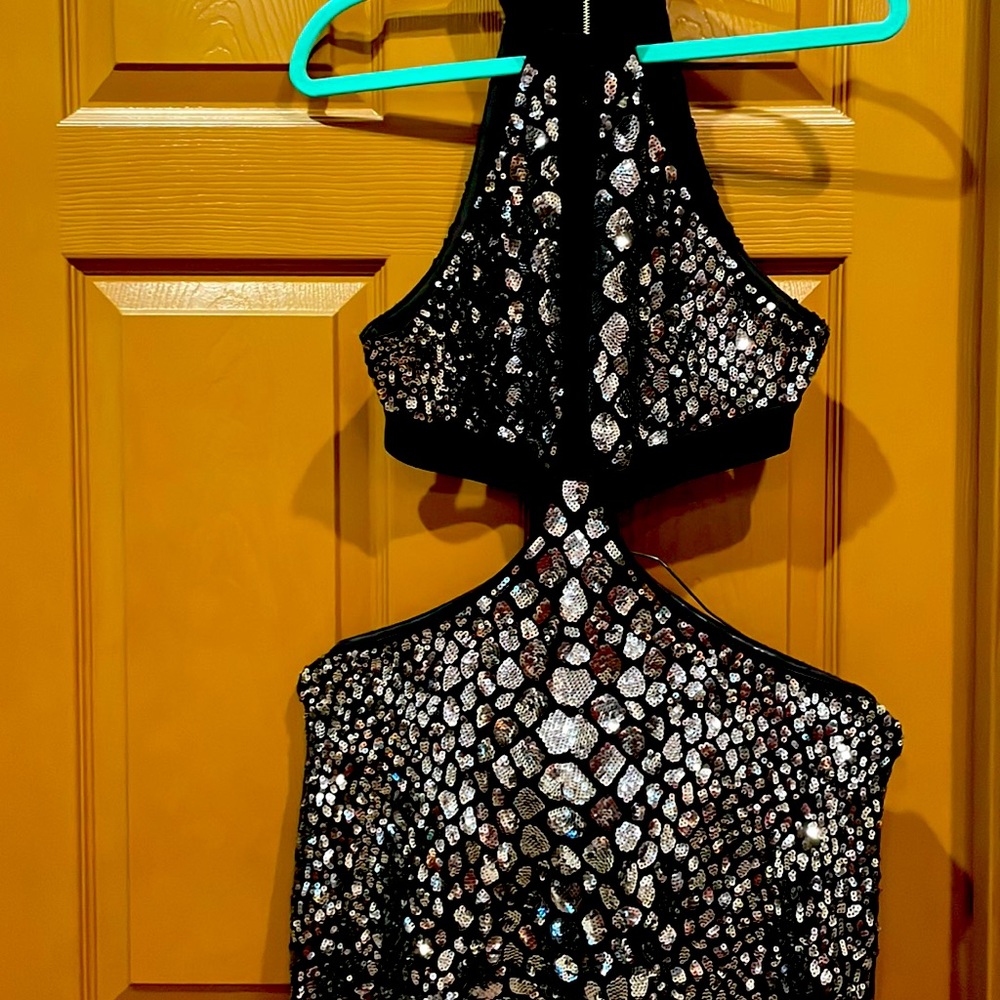 Express sequin dress